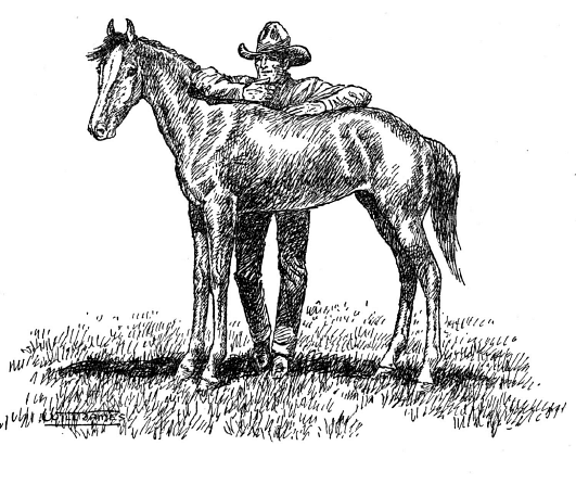 CowboyHorse