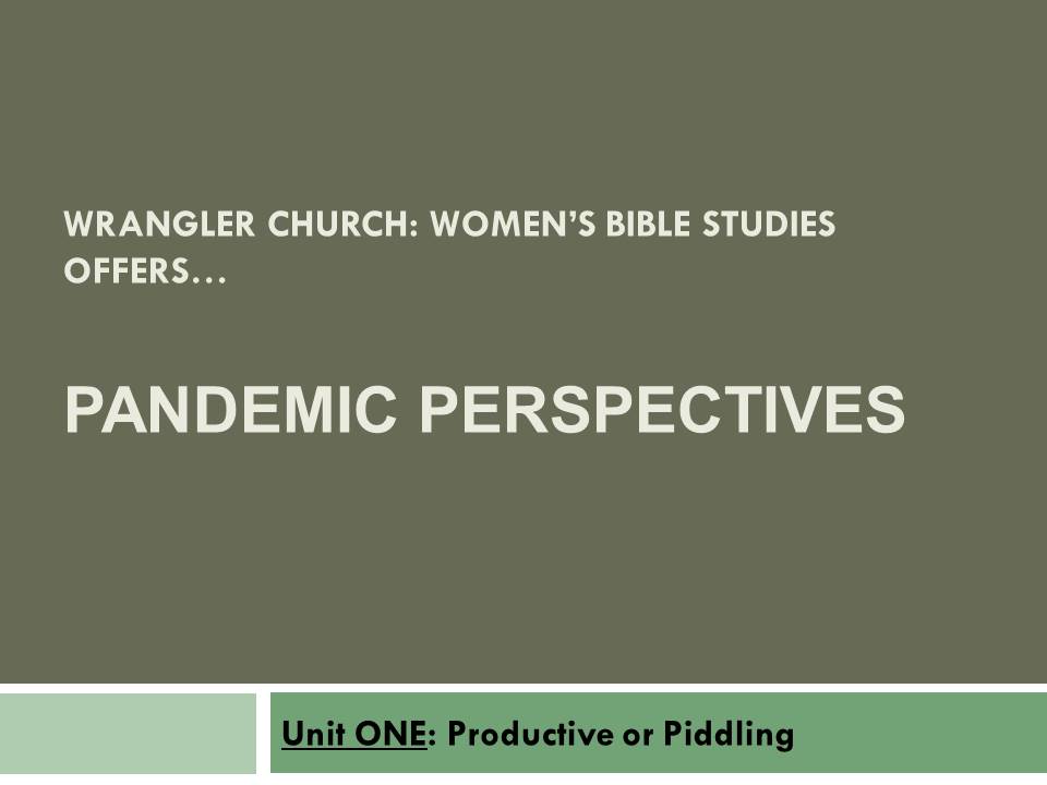 Slide1 Pandemic