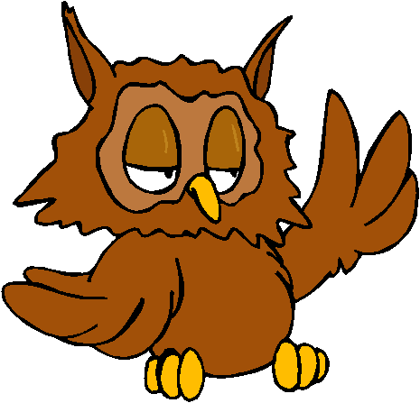 owl