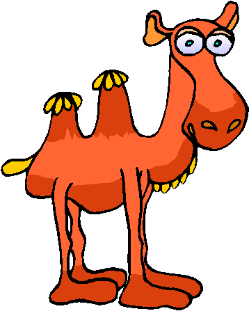 Camel